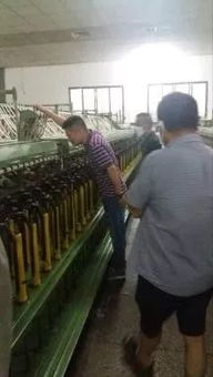 錦坤盈紡紗技術(shù)咨詢(xún)管理公司 助力紡廠品質(zhì)半年內(nèi)輕松達(dá)5級(jí)水平