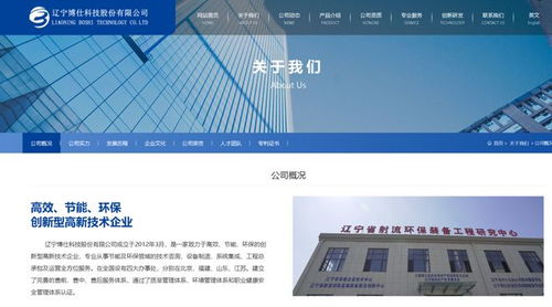 遼寧博仕科技因圍標串標遭三年禁入 被列入不良行為記錄名單